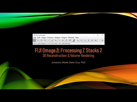 Processing z Stacks 2: 3D Reconstruction & Volume Rendering (FIJI/ ImageJ)