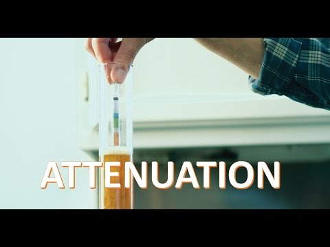 Attenuation Explained -- Beer Physics