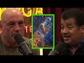 Neil deGrasse Tyson on the Webb Telescope and the Big Bang