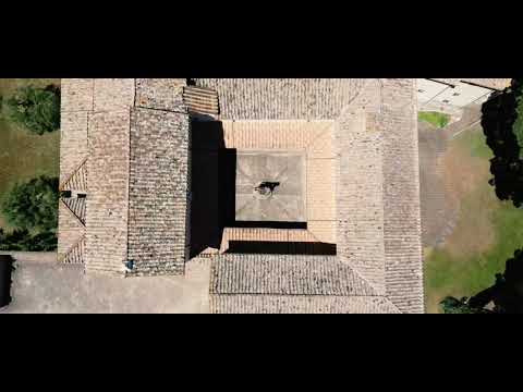 Video Gallery