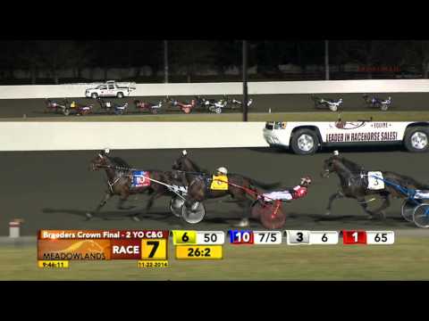 Breeders Crown 2YO Colt Pace Final - Traceur Hanover - November 22, 2014