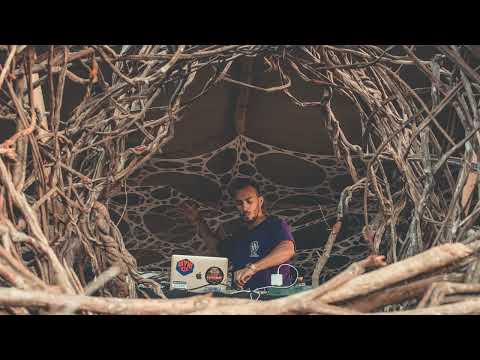 Bhangra - Between Chaos [Trancentral Mix 177]