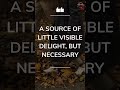 MY LOVE FOR HEATHCLIFF RESEMBLES THE ETERNAL ROCKS BENEATH  A SOURCE OF LITTLE VISIBLE DELIG#shorts