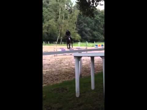 Castellini x Polydor * 2008