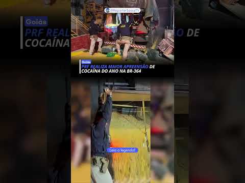Maior apreensão de cocaína do ano em Goiás é realizada na BR-364