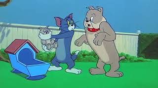 Tom and Jerry 82 Episode - Hic-cup Pup (1954)