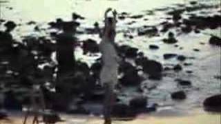 Love Song to a Ballerina (George Winston)