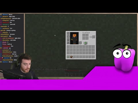 Twitch Chat tries to survive 1 night in Minecraft (VOD)