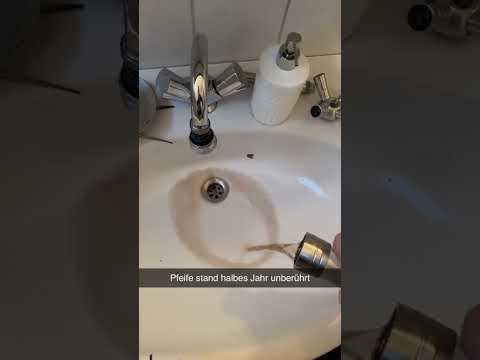 Pfeife stand halbes Jahr unberührt