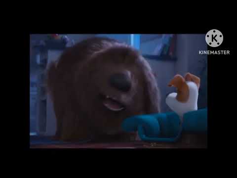 toons university part 1 frield trip