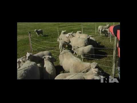 3. Día de campo de la Unidad Experimental Palo a Pique