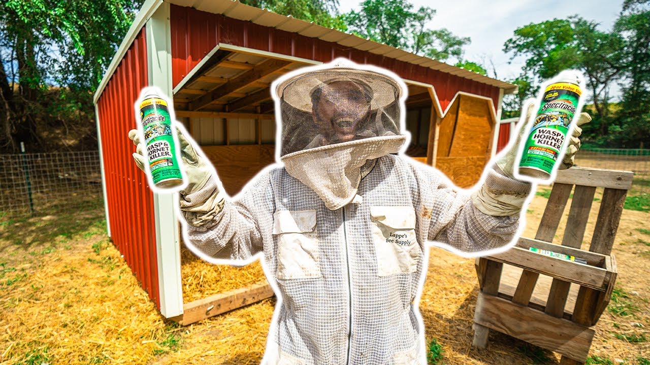 SAVING My BACKYARD FARM Animals from ANGRY WASPS!