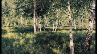 Agalloch - Birch White (parte II)
