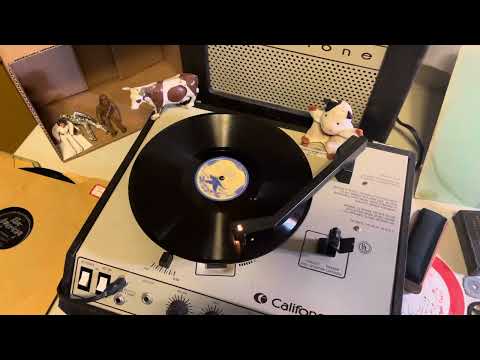 Red McKenzie and the Mound City Blue Blowers “Never Had a Reason to Believe in You” Bluebird B-6270