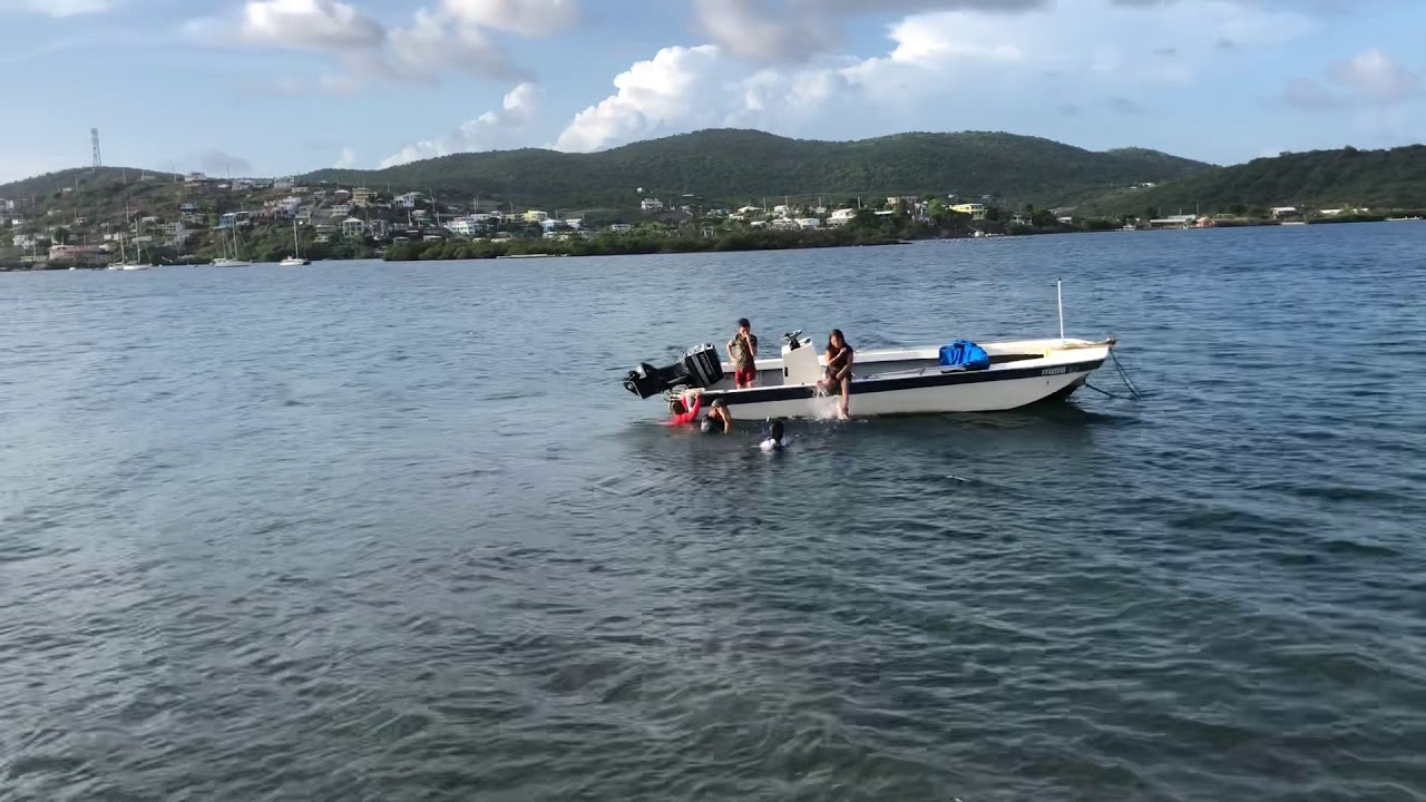 Rosa Pérez- En La Isla Municipio de culebras- 2019