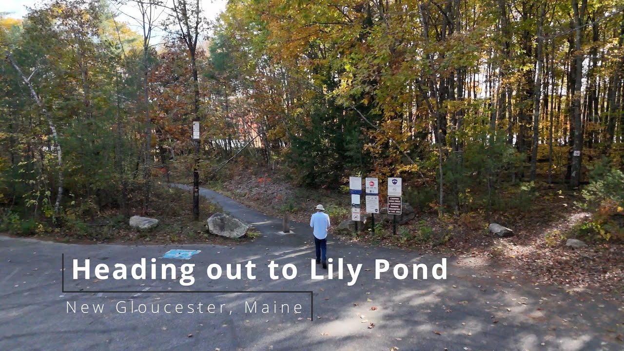 Walk to Lily Pond and Beyond! 4K Aerial footage of a Beautiful spot in New Gloucester, Maine