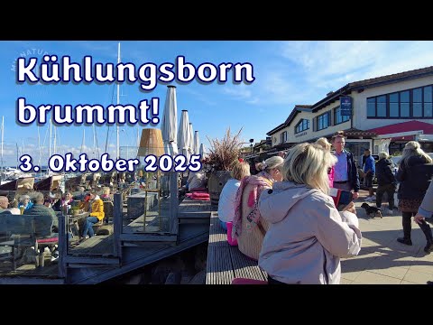 Kühlungsborn brummt! - 3. Oktober 2025