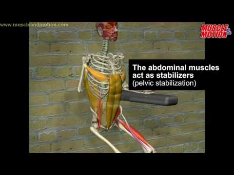 Vertical Leg-Hip Raise