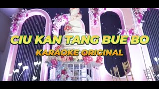 Download lagu CIU KAN TANG BUE BO KARAOKE ORIGINAL  酒干倘卖无 Helen Huang Live Perform. mp3