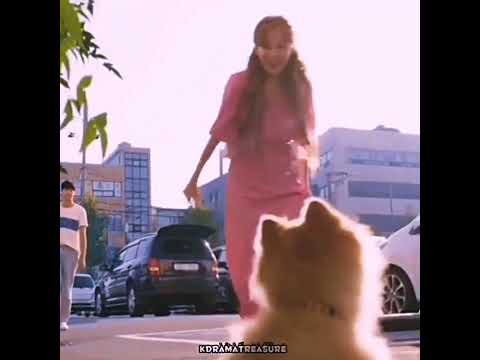 lee seulbi's cuteness compilation  ≧ω≦