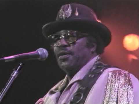Ron Wood & Bo Diddley - Mona - 11/20/1987 - Ritz