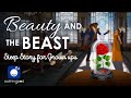 Bedtime Sleep Stories Beauty And The Beast Sleep Story For Grown Ups Kids Classic Tale