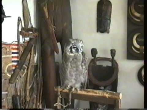 AfrikaMúzeum Balatonederics 1997