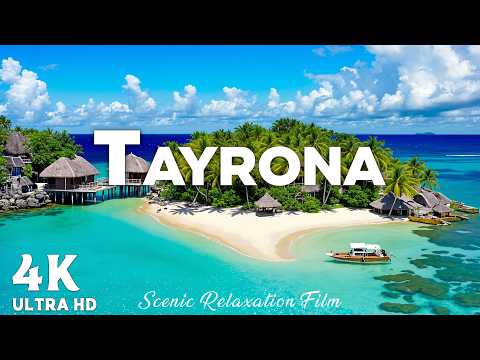 Tayrona 4K UHD 🌴 | Hidden Caribbean Paradise in Colombia | Cinematic Relaxation Film