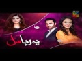 "Yeh Raha Dil" Episode 23 HUM TV Drama - 24 July 2017