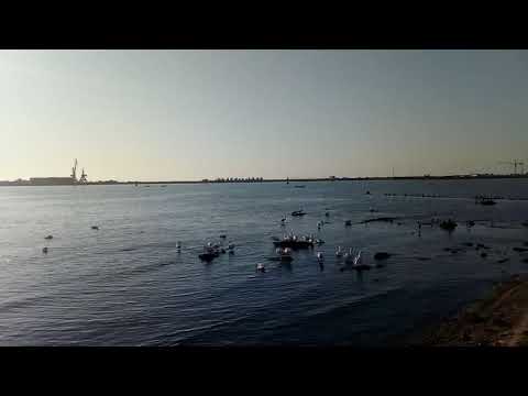 Sunrise in Port Mangalia