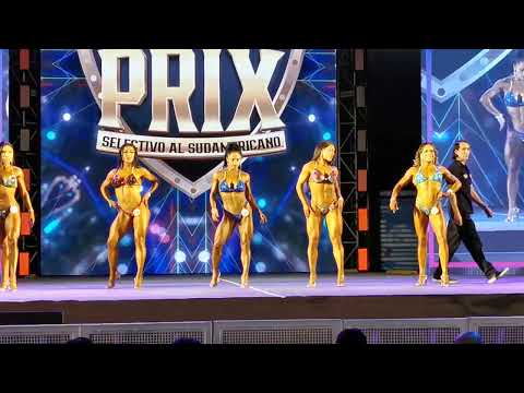 Categoría Wellness Senior hasta 1.58 m.