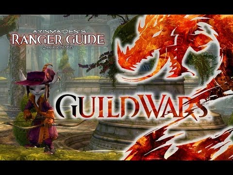 The Guild Wii