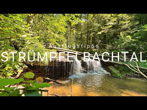 Tipps für einen Ausflug ins Strümpfelbachtal | Rems-Murr-Kreis | Baden-Württemberg