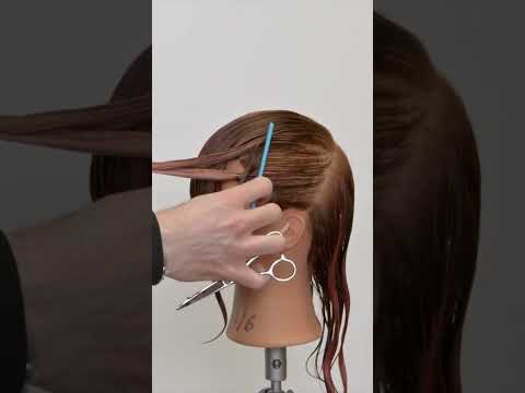 Quick Easy Shag Hair Cut