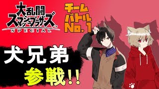 【スマブラSP】チームバトルＮo,1決定戦※ハヤ公視点【犬上ハヤト】