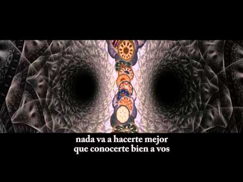 Multitud video