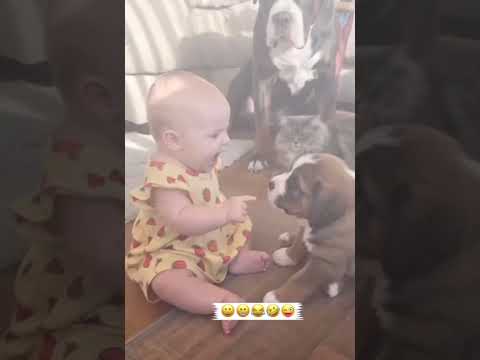Shocking reaction of the dog when baby does.. #viral #fypシ゚viral