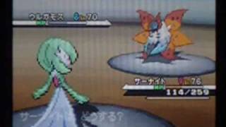 ウルガモス ポケットモンスター オオタチ ワルビル ケンタロス ウルガモス ポケットモンスター オオタチ ワルビル ケンタロス