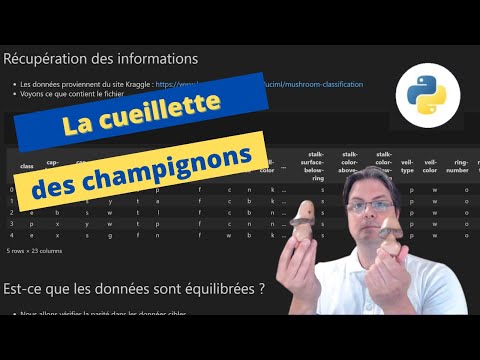 Manipulation de données Fichier CSV en Python