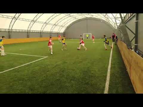 Video-Miniaturansicht