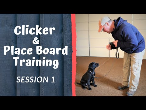 Clicker Training Your Dog and Using the Place Board - Session 1