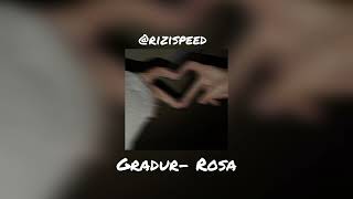 ( speed Song ) Gradur-Rosa