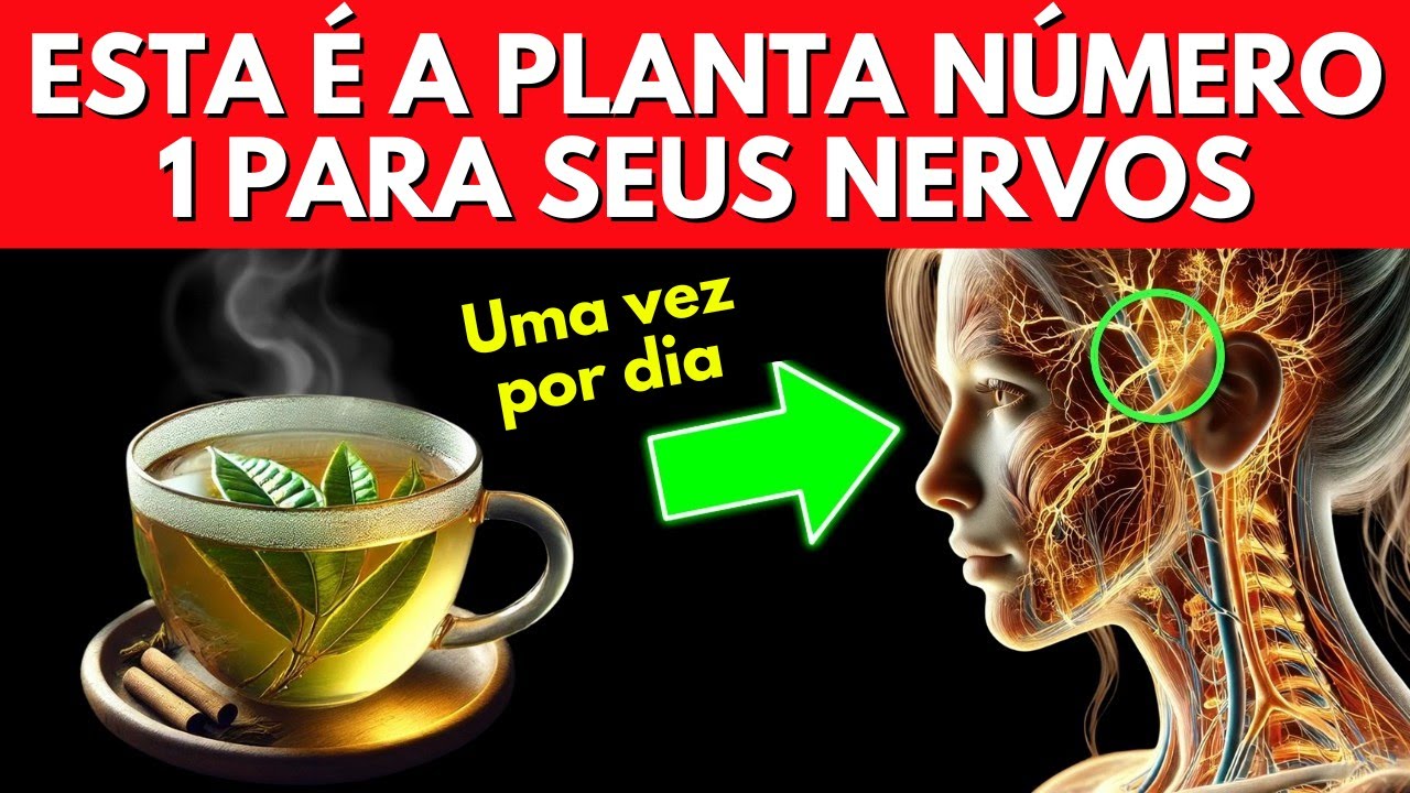 A planta nº 1 para reparar nervos instantaneamente