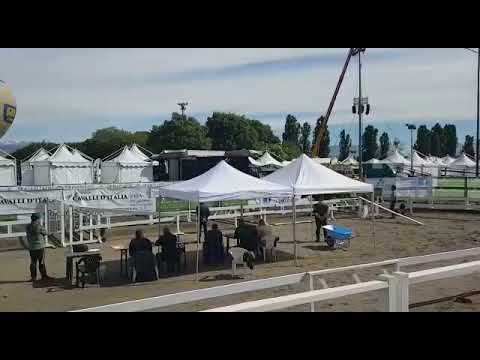 Ryan finale travagliato 27.04.19