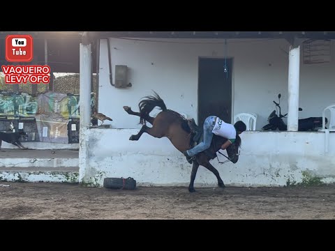 COWBOY LEVY ON THE PONY ROBINHO