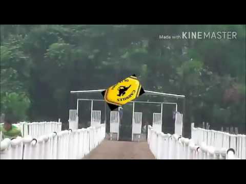 1er hit eliminatorio para perdedores a 300 varas