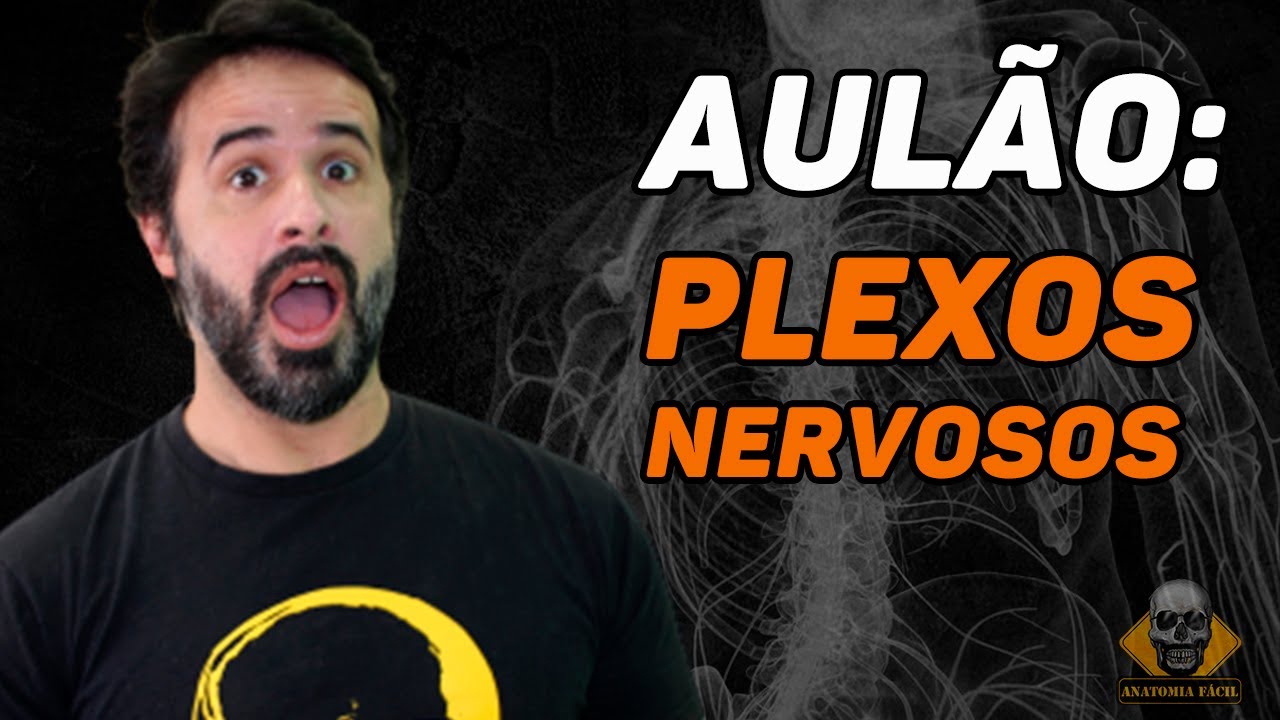 AULÃO - PLEXO NERVOSOS: AGORA VOCÊ VAI APRENDER DE VERDADE