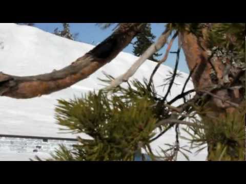 Gopro HD: 3 Guys 1 Slope