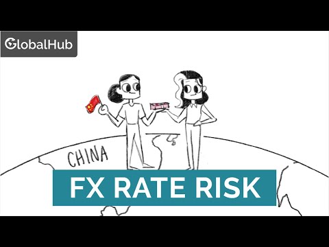 Foreign Exchange Rate Risk