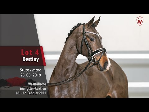 Youngster Auktion 18. - 22. Februar 2021 Lot 4 Destiny Stute v. Deville - Arpeggio